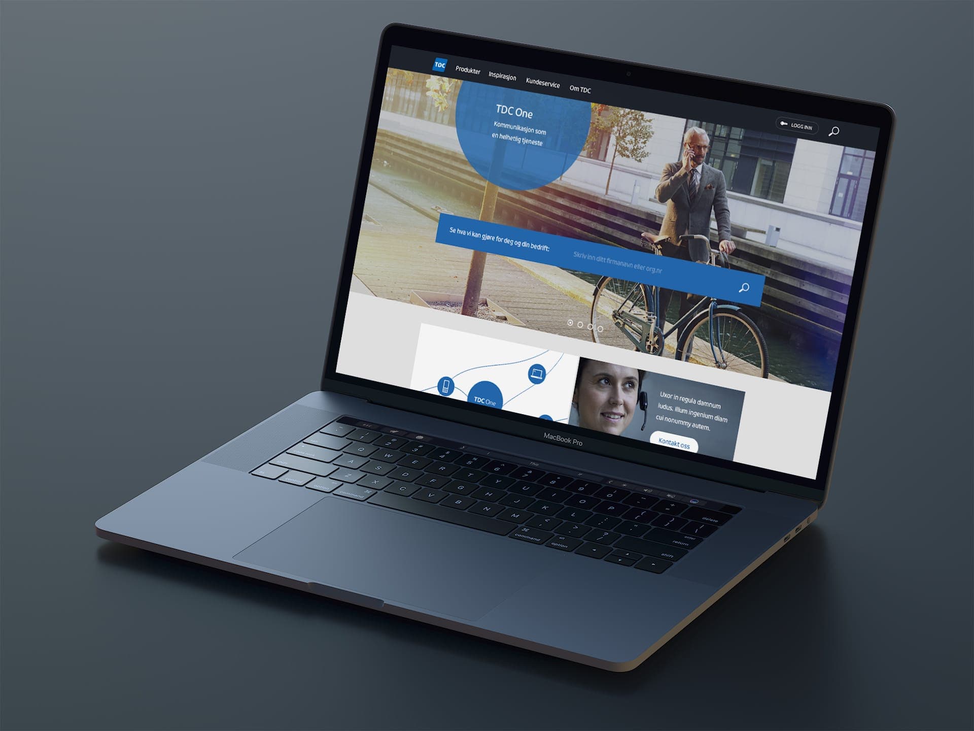 Standalone project image